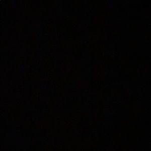 Meet your Posher, Carlos